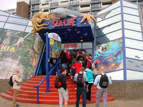 Aquarium